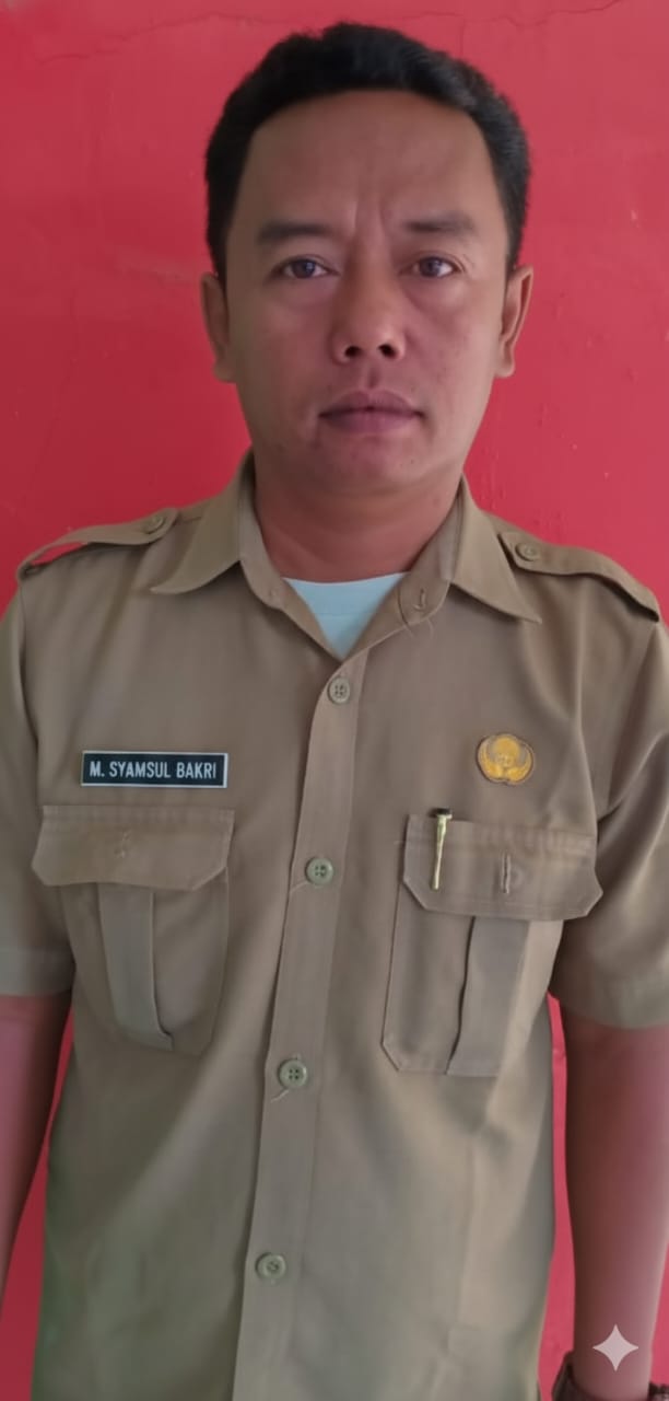 Muhamad Syamsul Bakhri